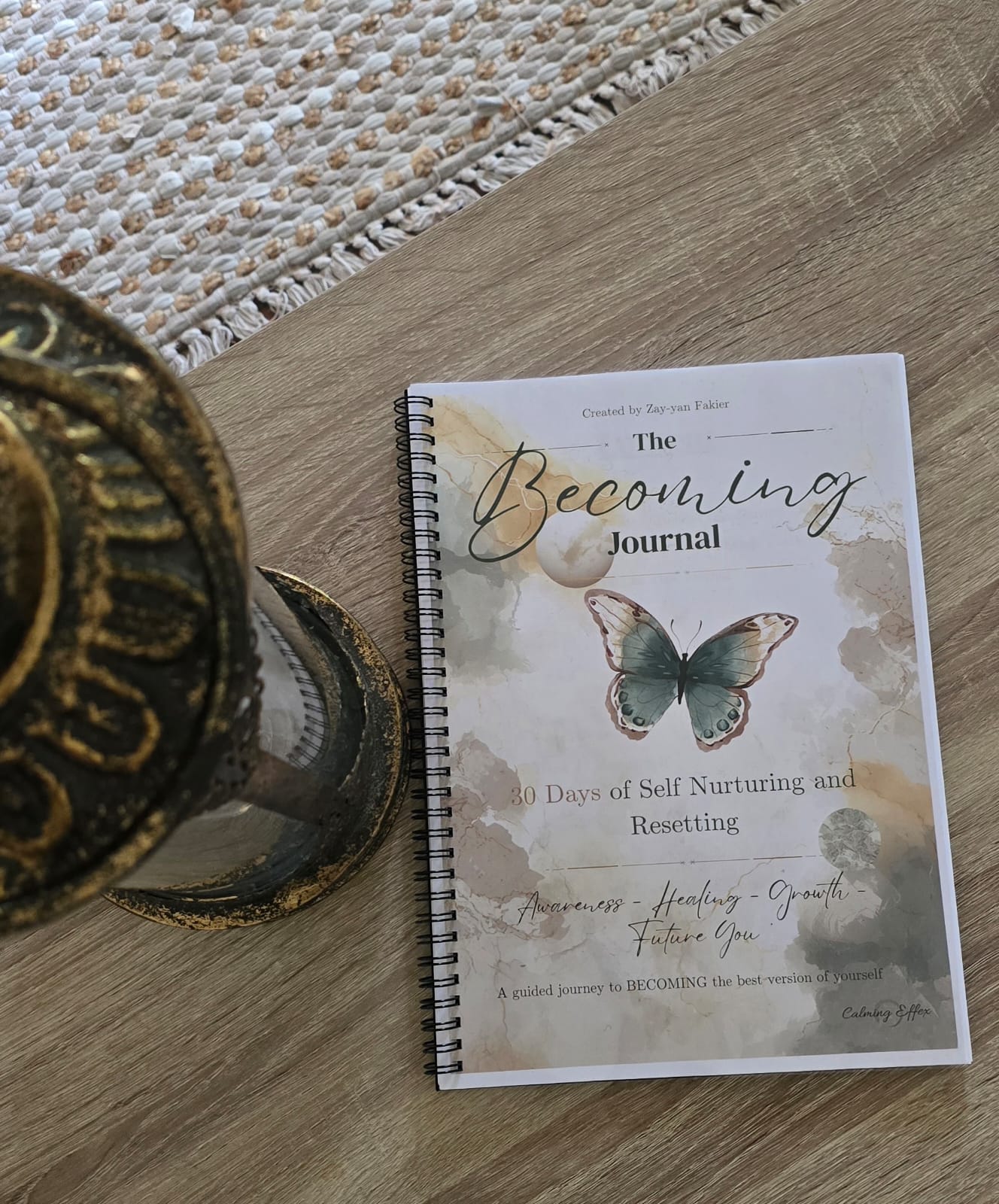 Self-Guided Reflection